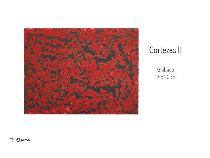 Grabado "Cortezas II" del catálogo "Rojonegro" de Federico Osorio